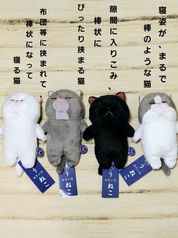 보우네코 보우 같은 고양이 봉제 인형 4세트 고양이 봉제 인형