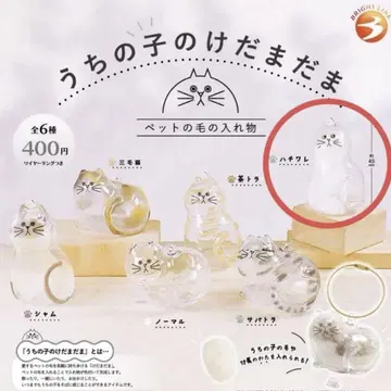 우리 아이의 케다마다 하치와레