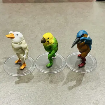 가치무치 새 오리 씨, 물총새 씨, 잉꼬 씨