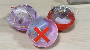 케다마다마, 샴과 하치와레, 사바토라