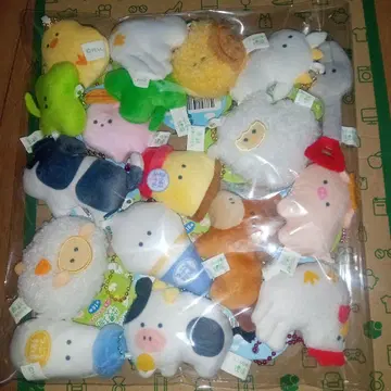 트루바나노 마키조 풀 컴프