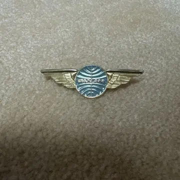 Pan Am 핀 배지 캐치 미 이프 유 캔