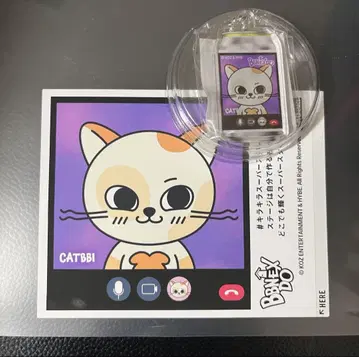 푸넥도 캐피 CATBBI 보이넥스트도어