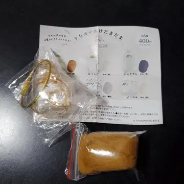 우리 아이의 털뭉치, 브라운