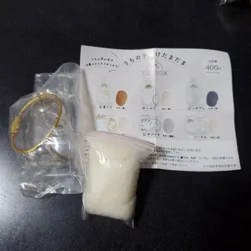 우리 아이의 털뭉치, 샤
