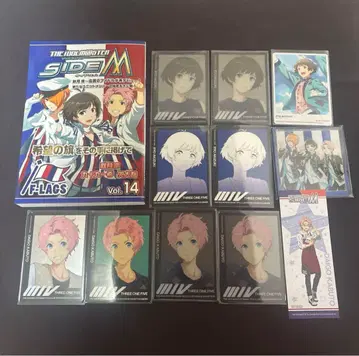 아이돌 마스터 SideM F-LAGS FLAGS 플래그