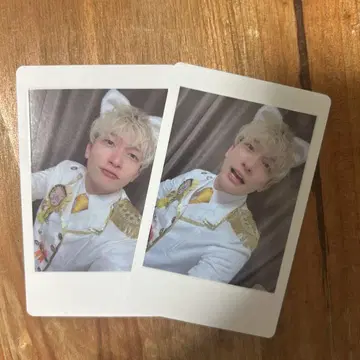 팬더 드래곤 파라곤 하피카 요타