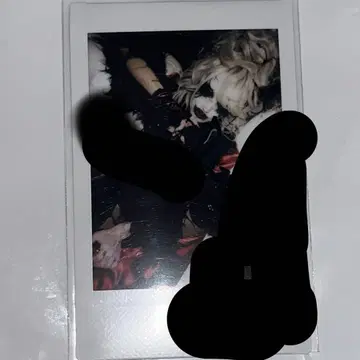 DazzlingBAD iT MV 폴라로이드