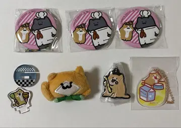 문구와 함께 새끼 고양이, 고양이 묶음 판매