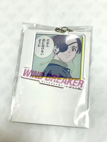 WIND BREAKER 소방슌비 아크릴 키링