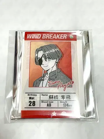 WIND BREAKER 소샹샹 비행 프로필 카드 키링