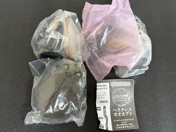 생물대도감 어드밴스 헤라클레스 세텟리오나리스