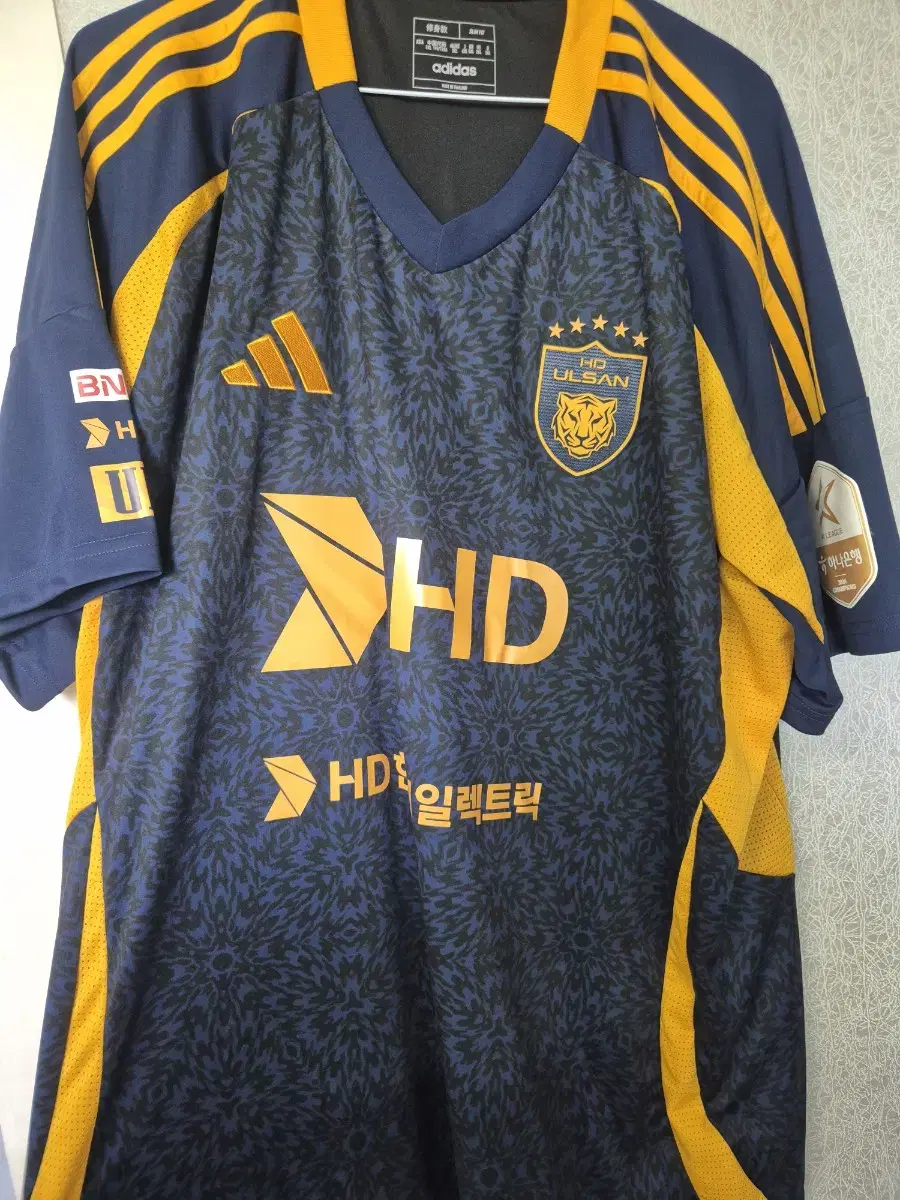 Ulsan HD (Ulsan Hyundai) 25 Season Third Kit