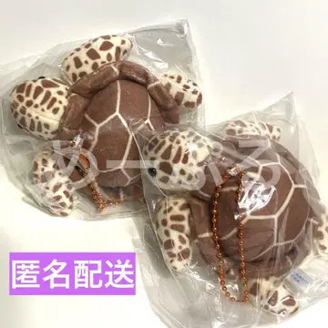 귀여운 봉제 인형 수족관의 생물 [바다거북]
