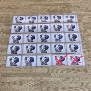 문고 문호 스트레이독스 다자이 오사무 파샤코레