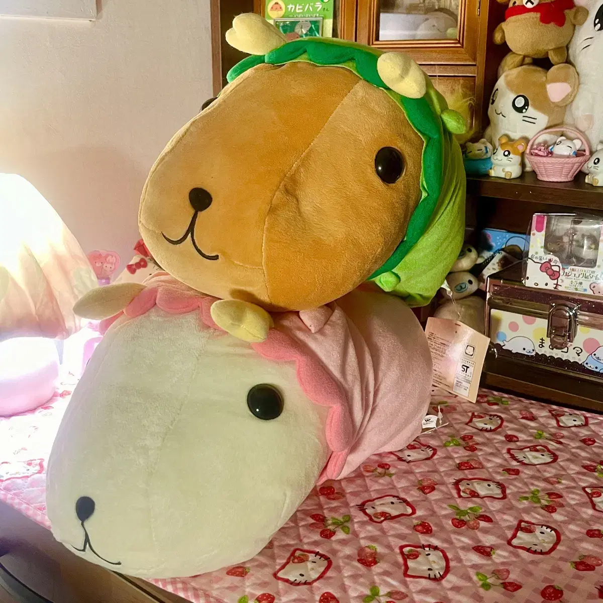 할인가!!용 카피바라 핑크 그린 세트