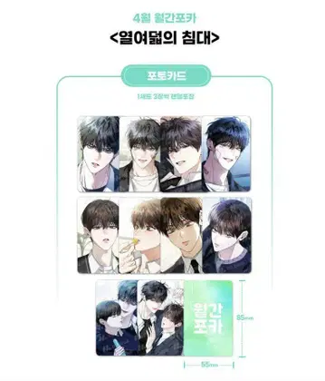 18 베드 포토 카드 7 팩 한국 BL