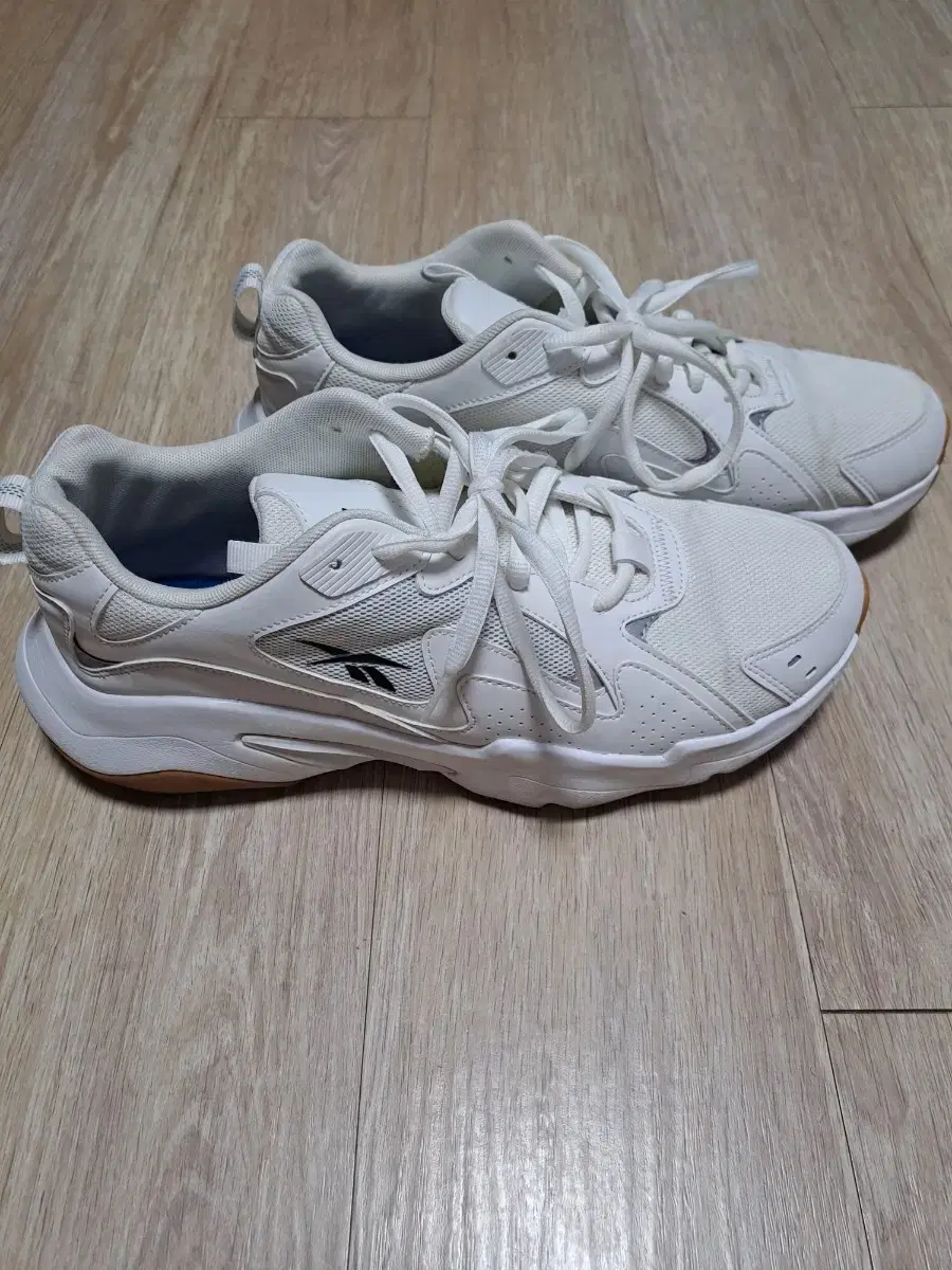 Reebok Ugly Shoes (280)