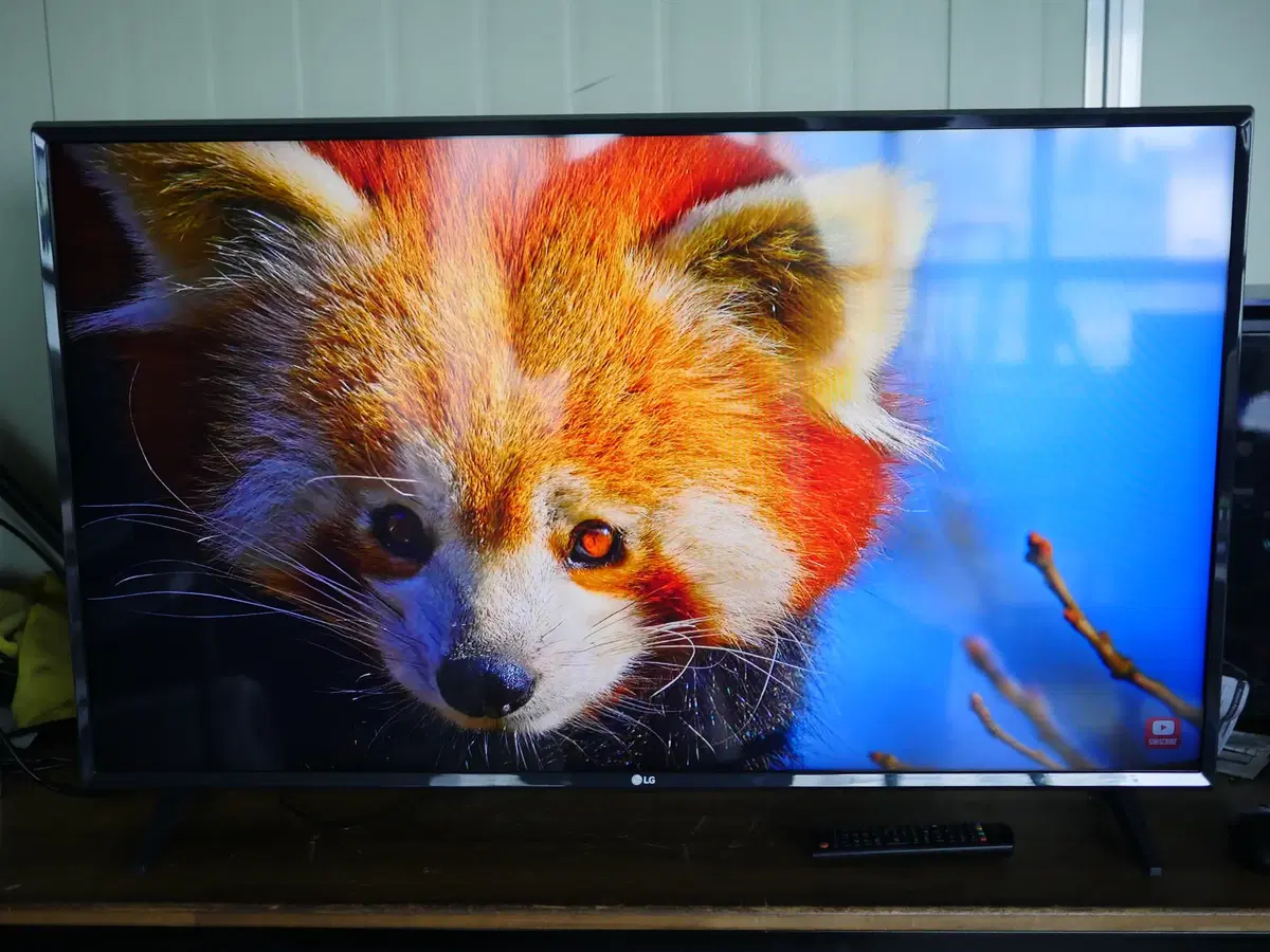 LG 43 inch IPTV Set-top Affordable TV LG 43MQ520S TV