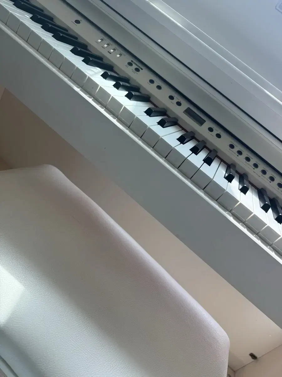 Dynatone Digital Piano