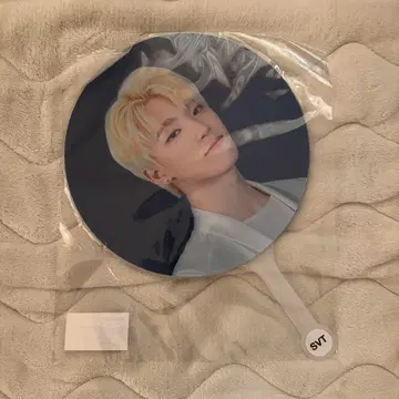 세부치 seventeen Ode to You 서울 콘서트 부채 디노