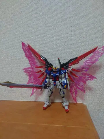 1/144RG 데스티니 건담 티타늄 피니쉬 상품 동시 300엔 할인