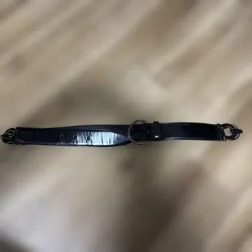 페라가모 벨트
