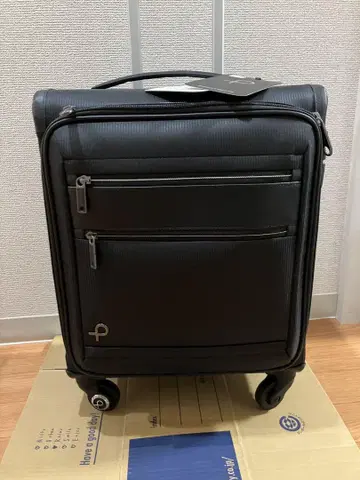 ACE 캐리어