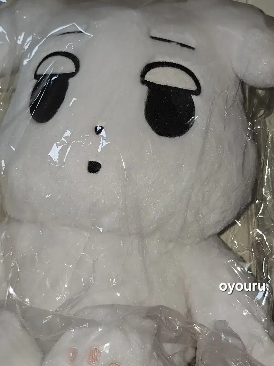 40cm Jik Jik sealed doll, Wang Jik Jik, Aespa winter