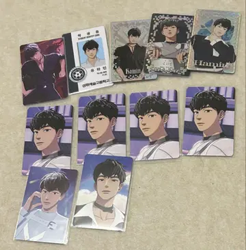 PLAVE caligo 트레이딩 카드 하민 11장 세트