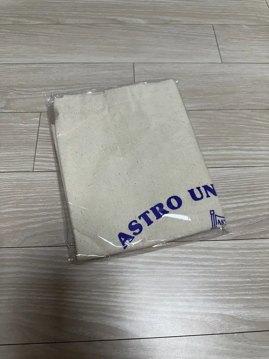 Astro Ecco Bag wts