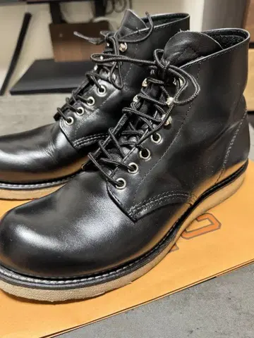 레드윙 아이리쉬 세터 6-INCH CLASSIC ROUND