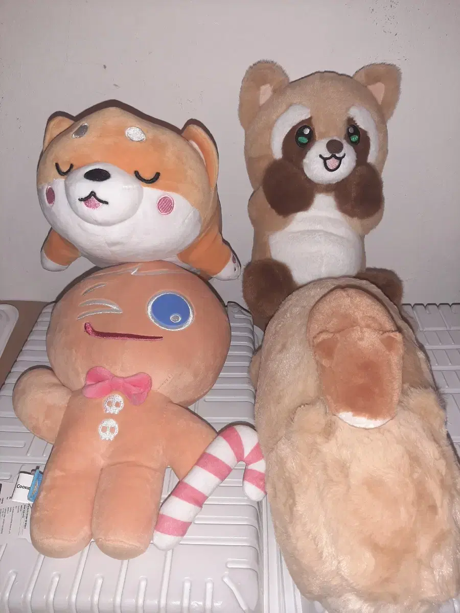 Gacha Doll Cookie Run Doll, Mochi Shiba Inu, Raccoon Doll, Apeach Line Doll