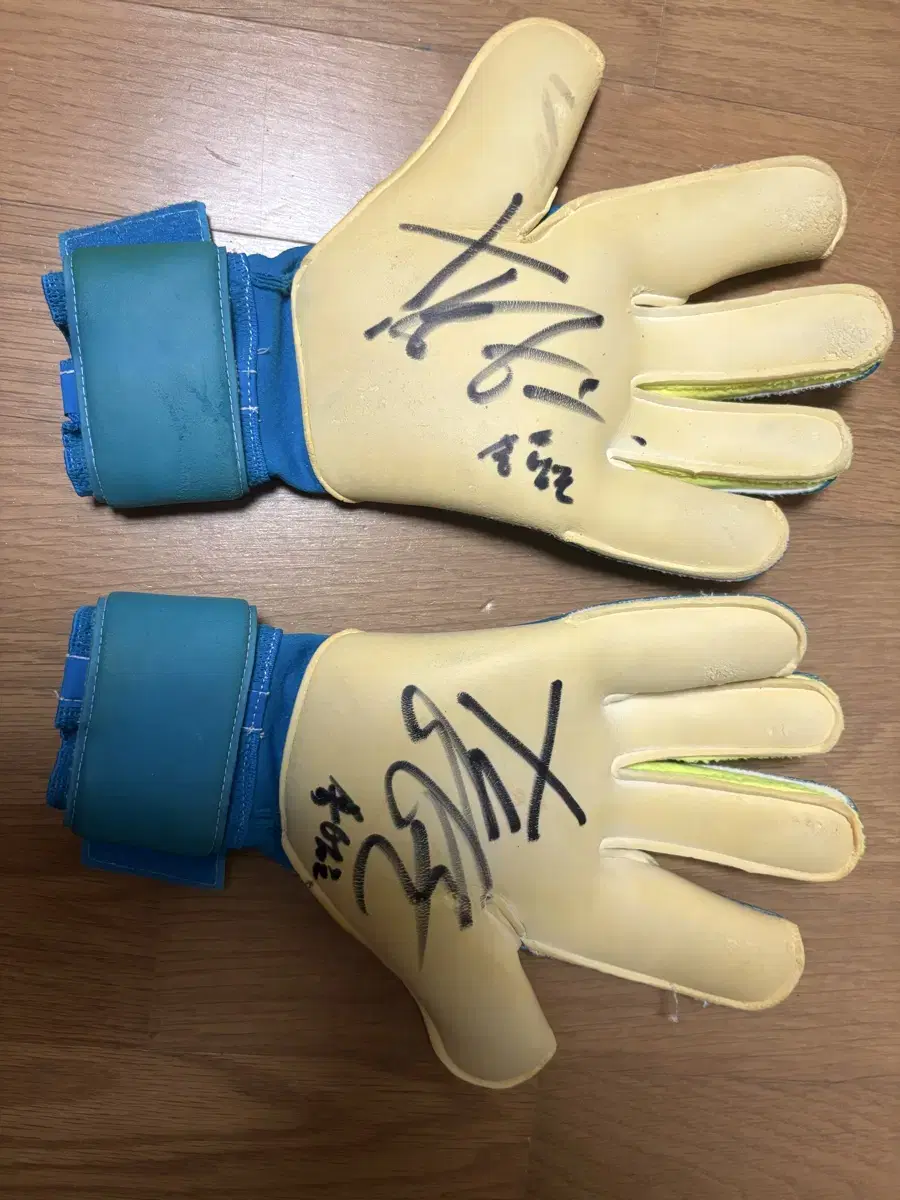 Song Bum-keun Worn Autographed Goalkeeper Gloves