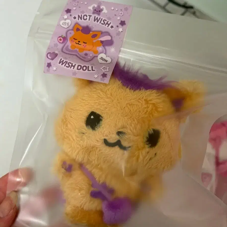NCT | 엔시티 Nct Wish Wishdoll Sion Sio-ning Doll on Bunjang