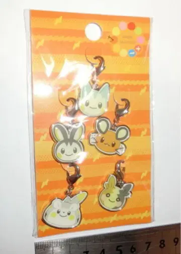 포켓몬 참 세트 파치리스 데덴네 에몽가 모르페코 토게데말