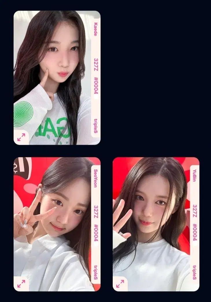 트리플에스 러블루션 1주년 오브젝트 D327