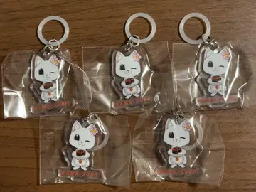 하마 스시 라멘 아카네 고양이 하나짱