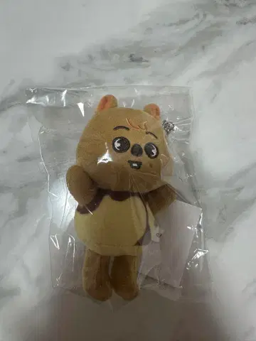 스키즈 한쿼카 푸딩