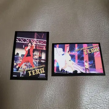 GLAY GiGO 포토 카드 TERU