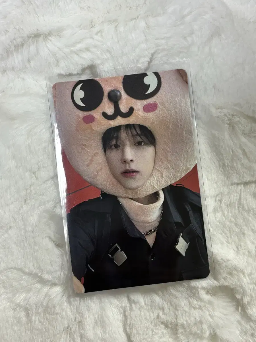 스키즈 스트레이키즈 승민 퍼핌 맥시던트 짚샵 스키주