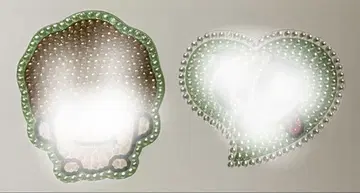 나니와단시 오하시 카즈야 부채