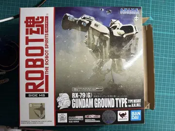 로봇혼 RX-79(G) 육상전형 건담 (사막 사양)