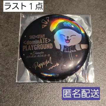 straykids 승민 퍼핌 skzoo 홀로그램 캔뱃지 에코파