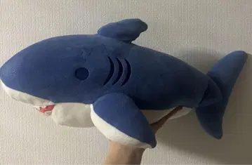 파랑과 화이트 색상의 봉제 인형 상어