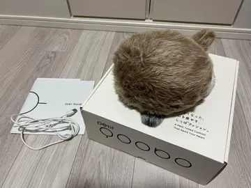 쁘띠 쿠보 브라운 petit qoobo 브라운