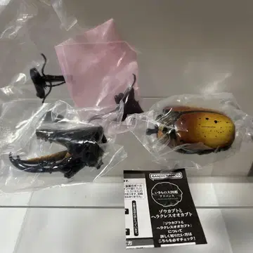 생물대도감 어드밴스 헤라클레스 장수풍뎅이 헤라클레스 엑아토리아누스
