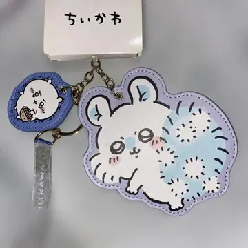 치이카와 모몽가 키 참