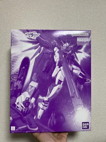 MG 1/100 데스티니 임펄스 건담 R