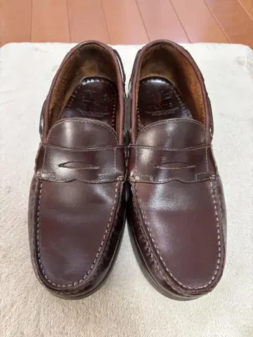 새상품급 파라부트 CORSICA 6 / 25cm 빔즈 별주